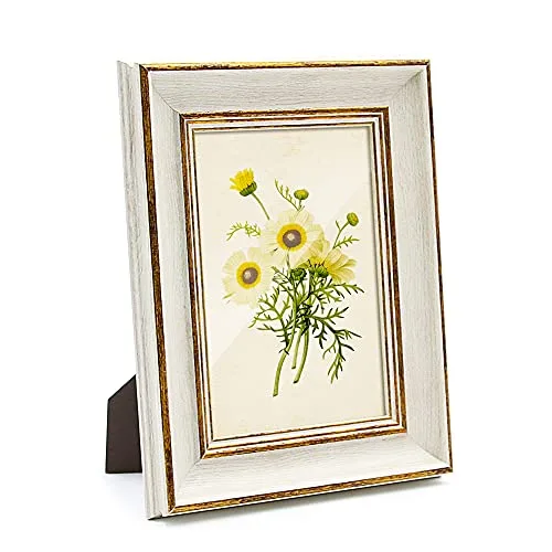 Sapowerntus Vintage Picture Frame Set: A Charming Touch for Your Memories