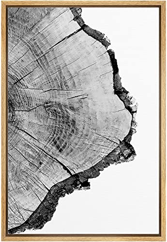 SIGNWIN Framed Canvas Print Wall Art Detailed Wood Rings of Tree Nature Wilderness Photography Realism Rustic Dramatic Grey Black and White for Living Room, Bedroom, Office - 16"x24" Natural